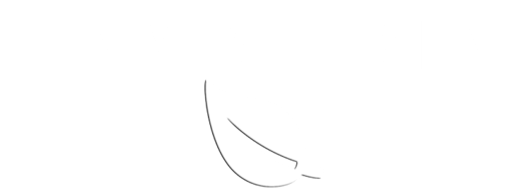 Quincy Car Detailing Logo